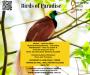 Summer Concert: &ldquo;Birds of Paradise&rdquo;